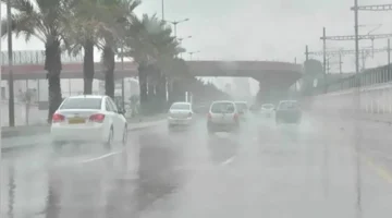 تحذير للأرصاد.. تفاصيل انخفاض درجات الحرارة وظهور شبورة كثيفة لمدة 8 ساعات بالجمعة